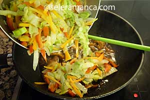 Masak Tumis Ayam Sayuran Step 12